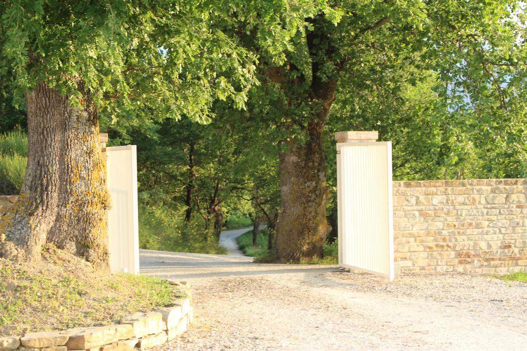 Amico Country House Serra San Quirico Dış mekan fotoğraf