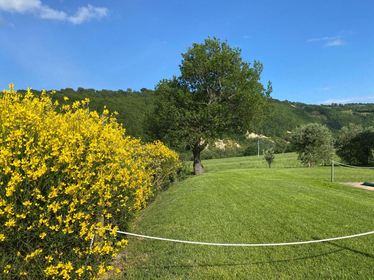 Amico Country House Serra San Quirico Dış mekan fotoğraf