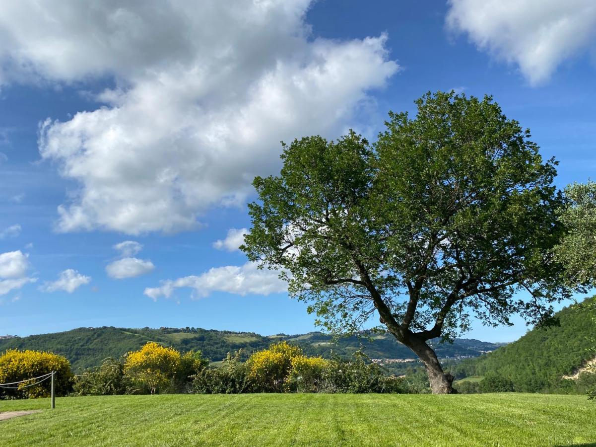 Amico Country House Serra San Quirico Dış mekan fotoğraf